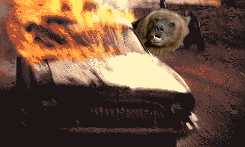 Анимация медведь на машине